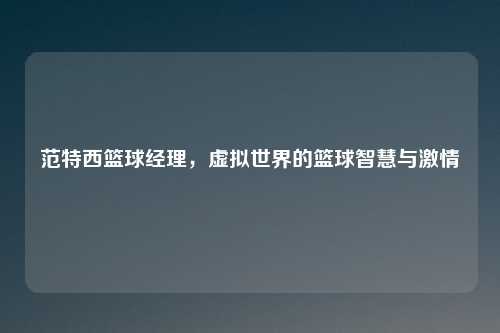 范特西篮球经理，虚拟世界的篮球智慧与激情